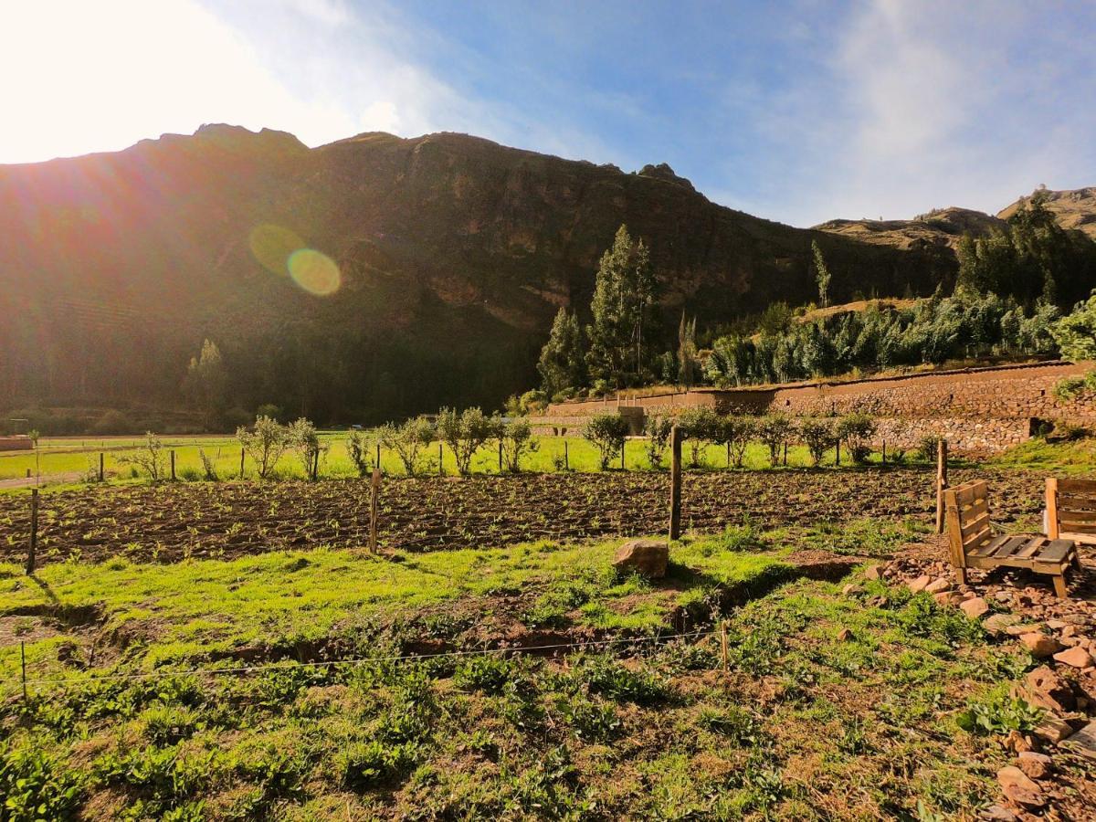 Hatha Art Yoga Pisac Kültér fotó